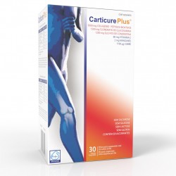 Carticure Plus